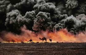 Camels Under Blackened Sky